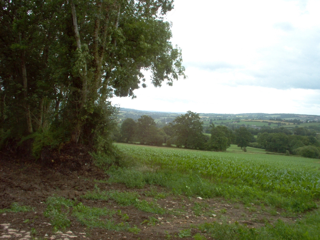 20110000 LA PAVÉE Pont-Farcy 30-2.jpg - IM000295.JPG